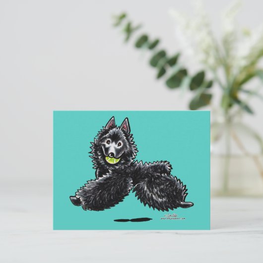 Carte Postale Schipperke Joue (Debout devant)