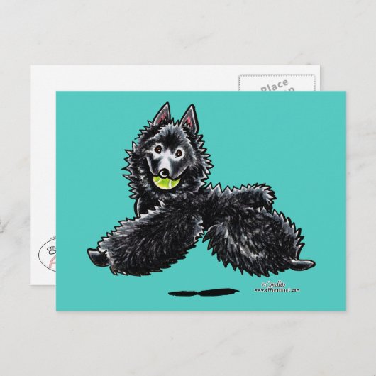 Carte Postale Schipperke Joue (Devant / Derrière)