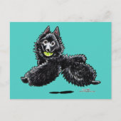 Carte Postale Schipperke Joue (Devant)