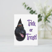 Carte Postale Schipperke Trick (Debout devant)