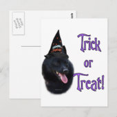 Carte Postale Schipperke Trick (Devant / Derrière)
