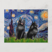 Carte Postale Schipperkees (deux,5& ; 6) - Nuit étoilée (Devant)