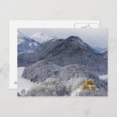 Carte Postale Schloss Hohenschwangau (Devant / Derrière)