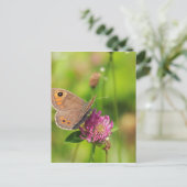 Carte Postale Schmetterling (Debout devant)