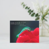 Carte Postale Schmetterlinge sehen (Debout devant)