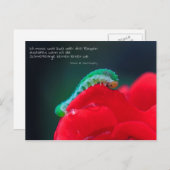 Carte Postale Schmetterlinge sehen (Devant / Derrière)