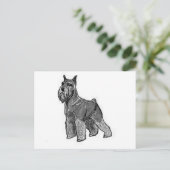 Carte Postale Schnauzer (Debout devant)
