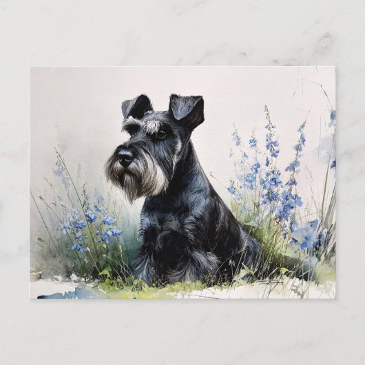 Carte Postale Schnauzer à l'aquarelle (Devant)