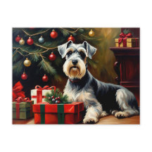 Schnauzer Chien Noël