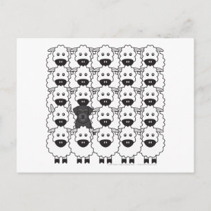 Carte Postale Schnauzer dans le mouton