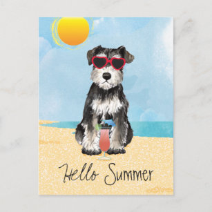 Carte postale Schnauzer de miniature d'été
