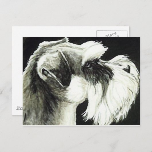 Carte postale "Schnauzer Dog Art" (Devant / Derrière)
