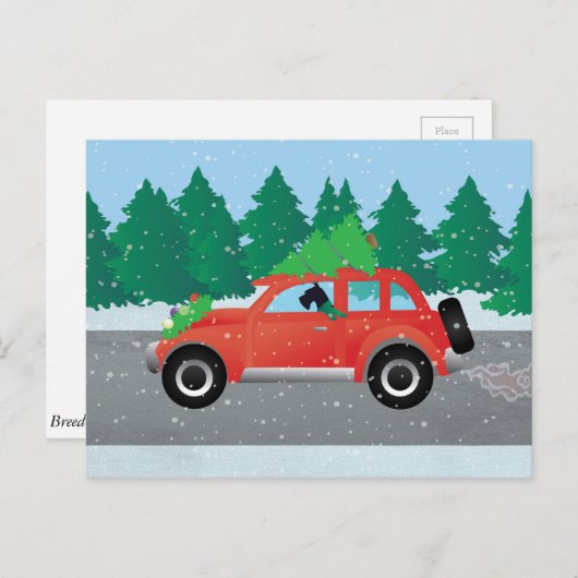 Carte Postale Schnauzer géant Conduit une voiture - arbre sur le (Devant / Derrière)