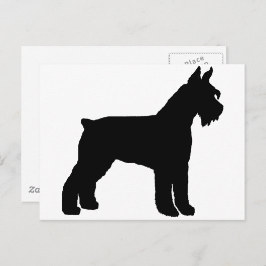 Carte Postale Schnauzer géant (noir) (Devant / Derrière)