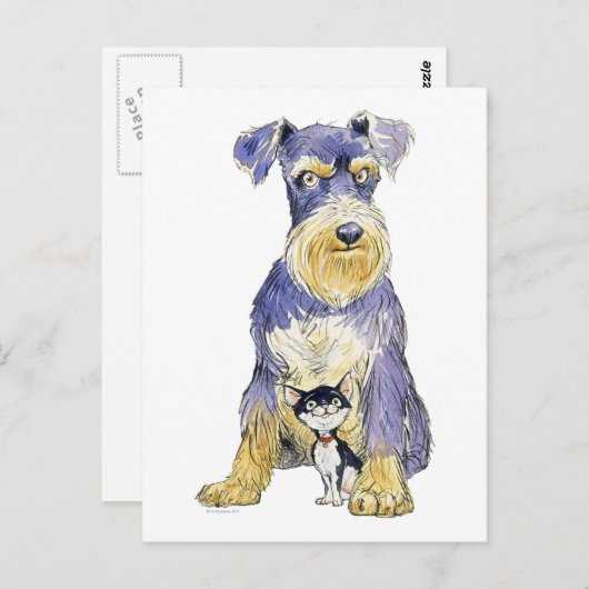 Carte postale Schnauzer & Kitten (Devant / Derrière)