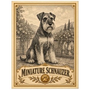 Carte Postale Schnauzer miniature, Chien du patrimoine vintage