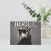 Carte Postale Schnauzer miniature de luxe (Debout devant)