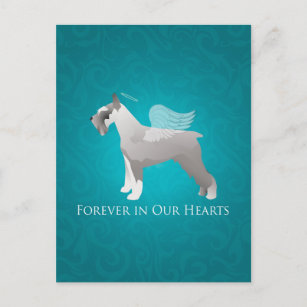 Carte Postale Schnauzer Pet Memorial Design
