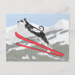 Carte Postale Schnauzer sur Skis !