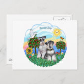 Carte Postale Schnauzers (deux) (Devant / Derrière)