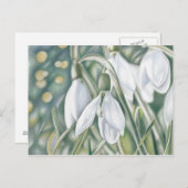 Carte Postale Schneeglöckchen - Farbstiftzeichnung (Devant / Derrière)