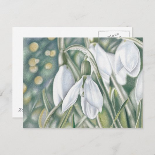 Carte Postale Schneeglöckchen - Farbstiftzeichnung (Devant / Derrière)