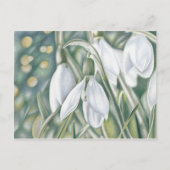 Carte Postale Schneeglöckchen - Farbstiftzeichnung (Devant)