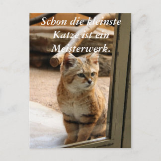 Carte Postale Schon die kleinste Katze ist ei...