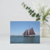 Carte Postale Schooner (Debout devant)
