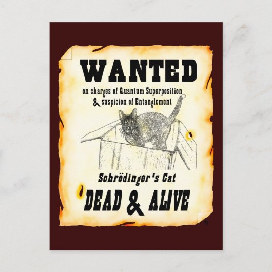 Carte Postale Schrodinger's Cat Postcard (Devant)
