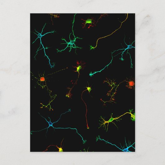 Carte Postale science (Devant)