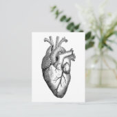 Carte Postale Science de l'anatomie cardiaque (Debout devant)