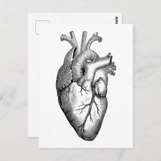 Carte Postale Science de l'anatomie cardiaque (Devant / Derrière)