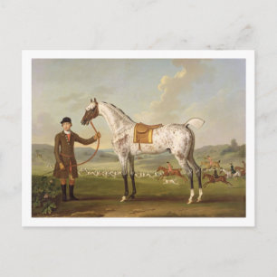 Carte Postale Scipio, Colonel Roche's Spotted Hunter, vers 1750 