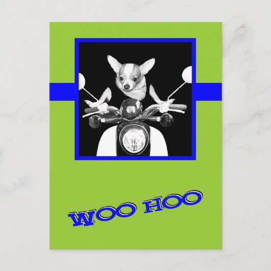 Carte Postale Scooter Chihuahua (Devant)