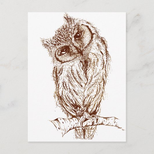 Carte Postale Scops owl by Inkspot (Devant)