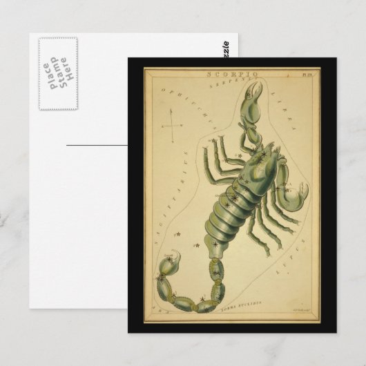 Carte Postale Scorpio (Devant / Derrière)