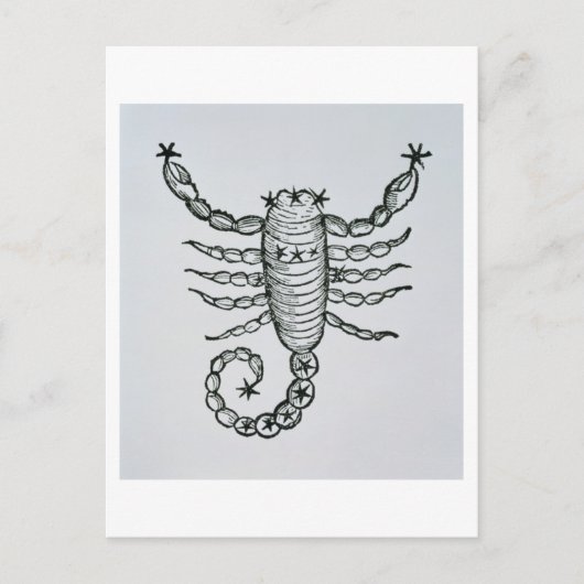 Carte Postale Scorpio (le Scorpion) une illustration de 'P (Devant)