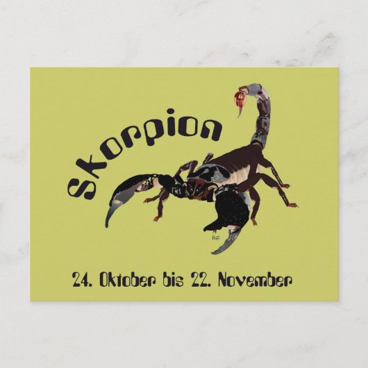Carte Postale Scorpion (Devant)