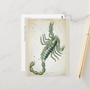 Carte Postale Scorpion Cosmique Zodiaque