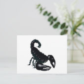 Carte Postale Scorpion noir (Debout devant)