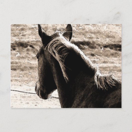 Carte Postale Scotch dans les tons Brown (Devant)