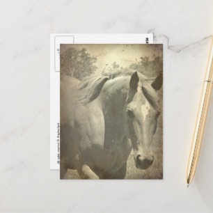 Carte Postale Scotch Faux Vintage