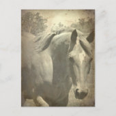 Carte Postale Scotch Faux Vintage (Devant)