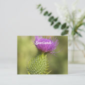 Carte Postale Scotland Thistle (Debout devant)