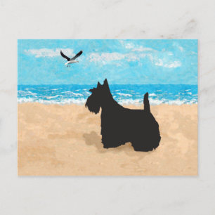 Carte Postale Scottie à la plage avec une mouette
