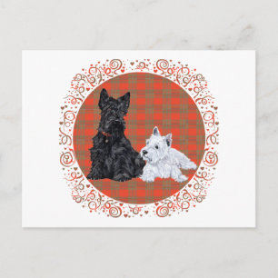 Carte Postale Scottie Adulte & chiot Westie