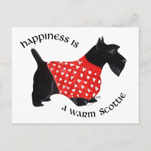 Carte Postale Scottie au pull à carreaux rouge