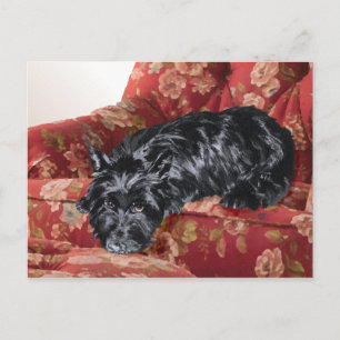 Carte Postale Scottie dans un grand fauteuil rouge