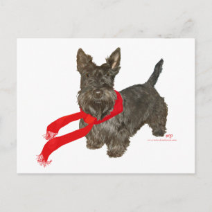 Carte Postale Scottie d'hiver en écharpe Wam